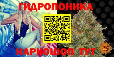 ГАЛЛЮЦИНОГЕННЫЕ ГРИБЫ Бузулук