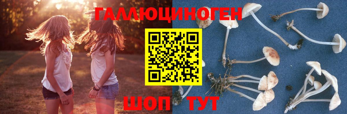 Тутаев  цена наркотик  Вход с VPN  Псилоцибиновые грибы Psilocybe 
